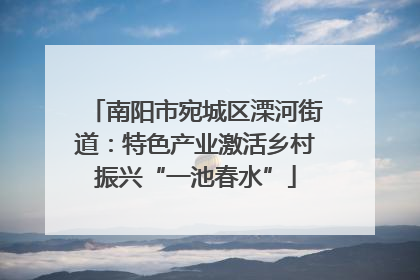 南阳市宛城区溧河街道：特色产业激活乡村振兴“一池春水”