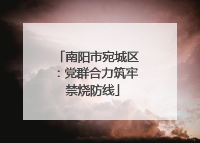 南阳市宛城区：党群合力筑牢禁烧防线