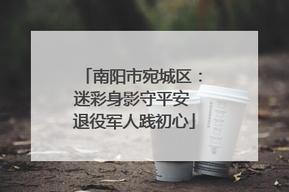 南阳市宛城区：迷彩身影守平安 退役军人践初心