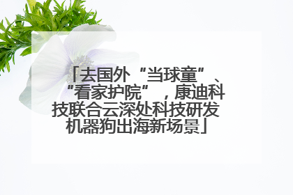 去国外“当球童”、“看家护院”，康迪科技联合云深处科技研发机器狗出海新场景