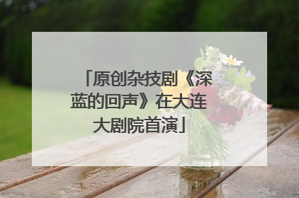 原创杂技剧《深蓝的回声》在大连大剧院首演