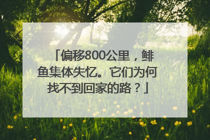 偏移800公里，鲱鱼集体失忆。它们为何找不到回家的路？