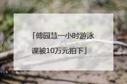 傅园慧一小时游泳课被10万元拍下