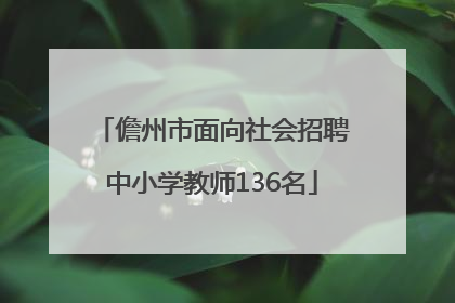 儋州市面向社会招聘中小学教师136名