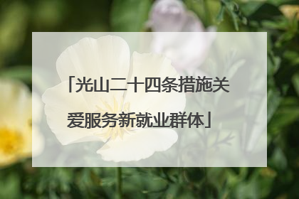 光山二十四条措施关爱服务新就业群体