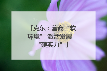 克东：营商“软环境” 激活发展“硬实力”