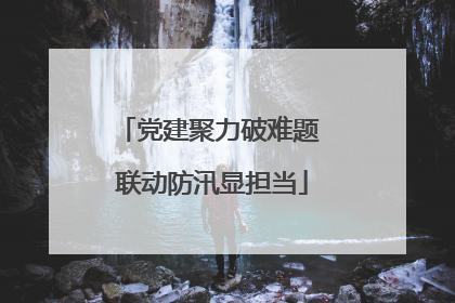 党建聚力破难题 联动防汛显担当