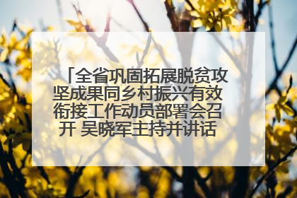 全省巩固拓展脱贫攻坚成果同乡村振兴有效衔接工作动员部署会召开 吴晓军主持并讲话 罗东川作安排部署
