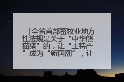 全省首部畜牧业地方性法规是关于“中华熊猫猪”的，让“土特产”成为“新国潮”，让“农产品”升格为“城市IP”