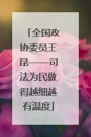 全国政协委员王昆——司法为民做得越细越有温度