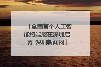全国首个人工智能终端展在深圳启幕_深圳新闻网