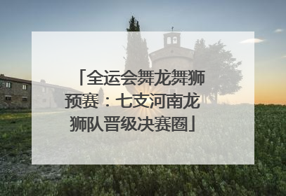 全运会舞龙舞狮预赛：七支河南龙狮队晋级决赛圈