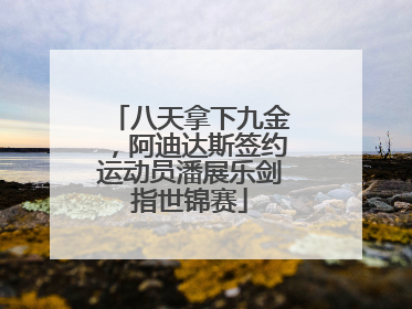 八天拿下九金，阿迪达斯签约运动员潘展乐剑指世锦赛