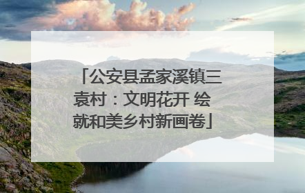 公安县孟家溪镇三袁村：文明花开 绘就和美乡村新画卷