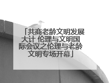 共商老龄文明发展大计 伦理与文明国际会议之伦理与老龄文明专场开幕