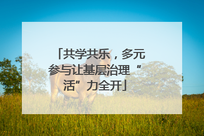 共学共乐，多元参与让基层治理“活”力全开