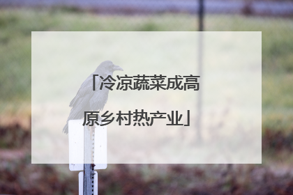 冷凉蔬菜成高原乡村热产业
