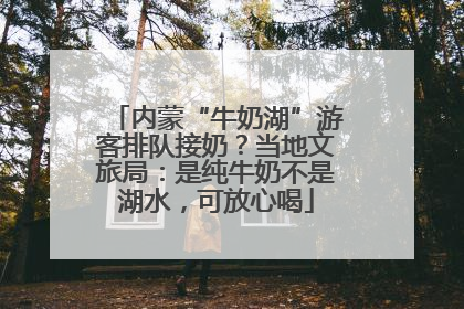 内蒙“牛奶湖”游客排队接奶？当地文旅局：是纯牛奶不是湖水，可放心喝