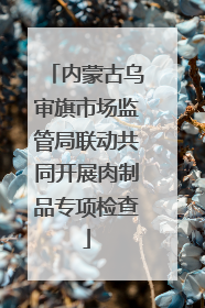 内蒙古乌审旗市场监管局联动共同开展肉制品专项检查