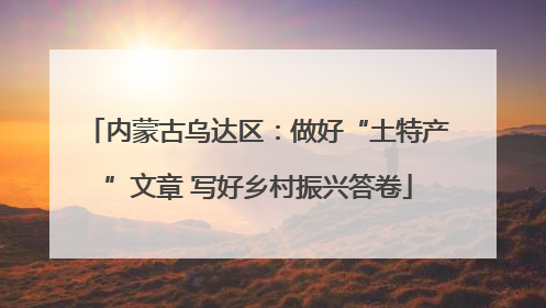 内蒙古乌达区：做好“土特产”文章 写好乡村振兴答卷