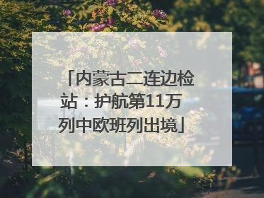 内蒙古二连边检站：护航第11万列中欧班列出境