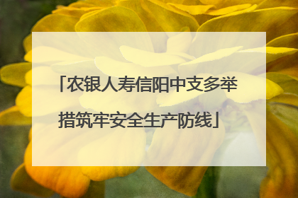 农银人寿信阳中支多举措筑牢安全生产防线