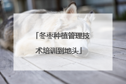 冬枣种植管理技术培训到地头