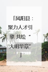 凤阳县：聚力人才引擎 共绘“大明华章”