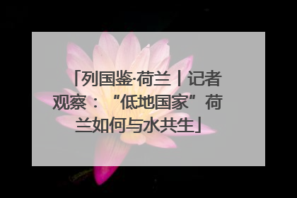 列国鉴·荷兰丨记者观察：“低地国家”荷兰如何与水共生