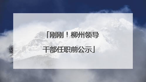 刚刚！柳州领导干部任职前公示