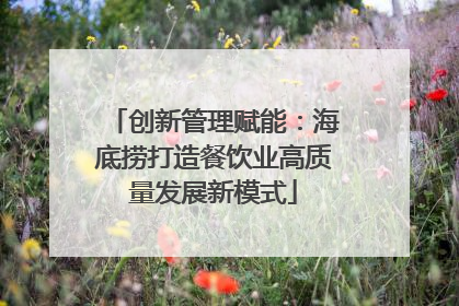 创新管理赋能：海底捞打造餐饮业高质量发展新模式