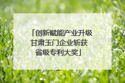 创新赋能产业升级 甘肃玉门企业斩获省级专利大奖