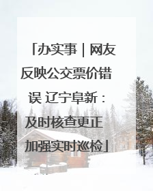 办实事｜网友反映公交票价错误 辽宁阜新：及时核查更正 加强实时巡检