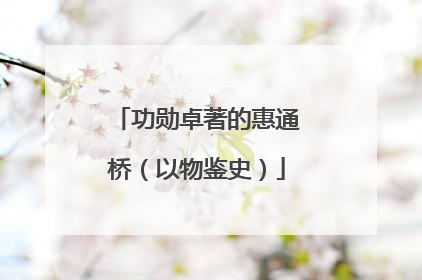 功勋卓著的惠通桥（以物鉴史）