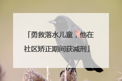 勇救落水儿童，他在社区矫正期间获减刑