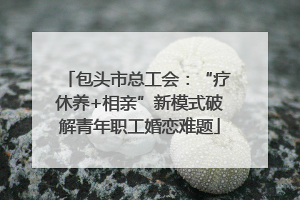 包头市总工会：“疗休养+相亲”新模式破解青年职工婚恋难题
