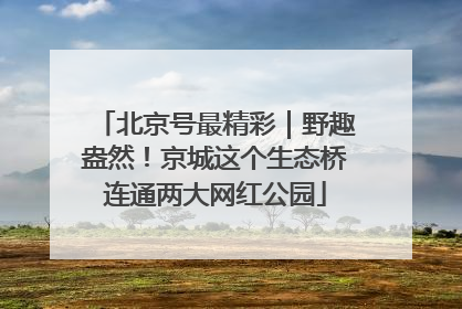 北京号最精彩｜野趣盎然！京城这个生态桥连通两大网红公园