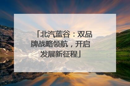 北汽蓝谷：双品牌战略领航，开启发展新征程
