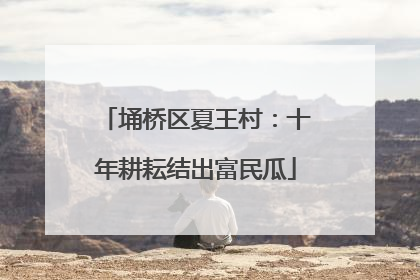 埇桥区夏王村:十年耕耘结出富民瓜