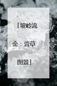 坡岭流金：萱草图景