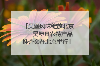 吴堡风味绽放北京——吴堡县农特产品推介会在北京举行