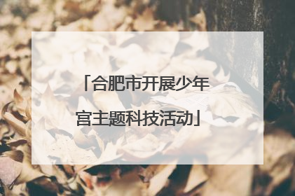 合肥市开展少年宫主题科技活动