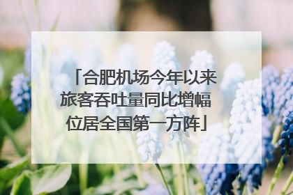 合肥机场今年以来旅客吞吐量同比增幅位居全国第一方阵