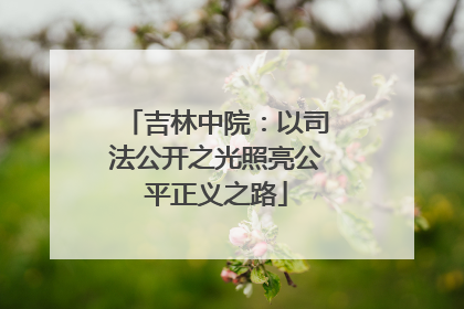 吉林中院：以司法公开之光照亮公平正义之路