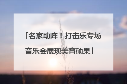 名家助阵！打击乐专场音乐会展现美育硕果