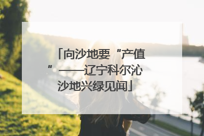 向沙地要“产值”——辽宁科尔沁沙地兴绿见闻