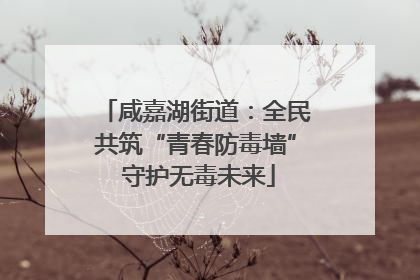 咸嘉湖街道：全民共筑“青春防毒墙” 守护无毒未来