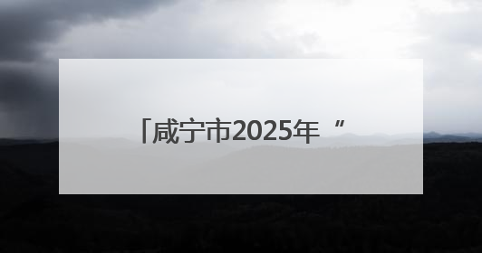 咸宁市2025年“红十字博爱周”活动启动，咸宁职院师生踊跃参与献血活动