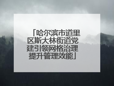 哈尔滨市道里区斯大林街道党建引领网格治理提升管理效能