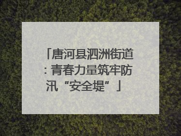 唐河县泗洲街道：青春力量筑牢防汛“安全堤”